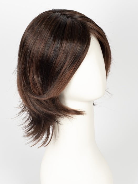 SS4/33 SHADED EGGPLANT | Dark Dark Brown with Subtle Warm Highlights Roots