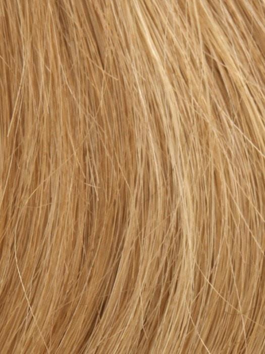 14/27/25 SUN KISSED BLONDE | Light Brown Blended with Light Red and Blonde Tones